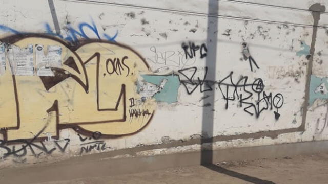 Los Olivos: quejas por pintas en fachadas de viviendas [VIDEO]