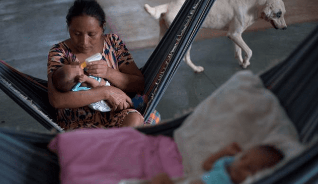 Salud precaria de venezolanas enciende alarmas en maternidad brasileña