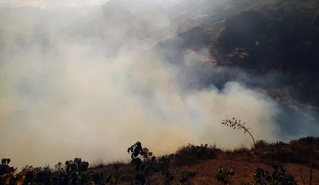 Pasco: incendio forestal consume varias hectáreas de sembríos