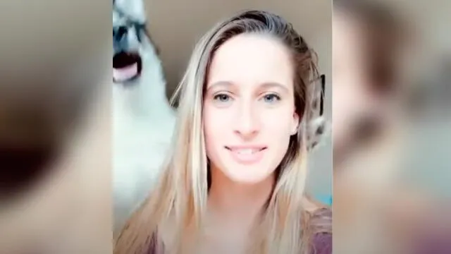 Desliza las imágenes para ver la peculiar reacción que tiene un perro husky siberiano al ve que su dueña quiere tomarse un selfie. Foto: RM Videos