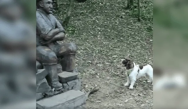 En Facebook, un tierno perro se emocionó con una estatua al creer que se trataba de su fallecido dueño.