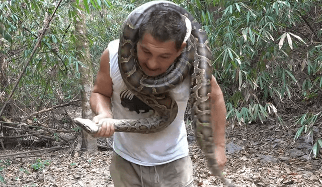 Desliza hacia la izquierda para ver la terrorífica escena en que la serpiente enrosca el cuello de un excursionista en Tailandia. El video es viral en YouTube.