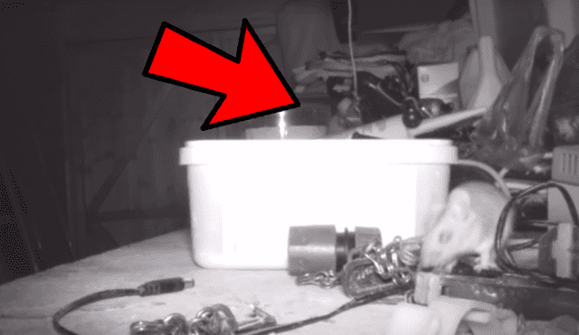 YouTube viral: ratón que ordenó casa por un mes dejó en shock a anciano que no se había percatado del hecho [VIDEO] 