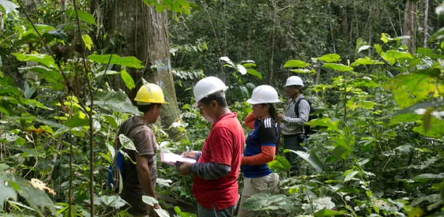 Gobierno transfiere más de 3 millones de soles para potenciar el desarrollo forestal 