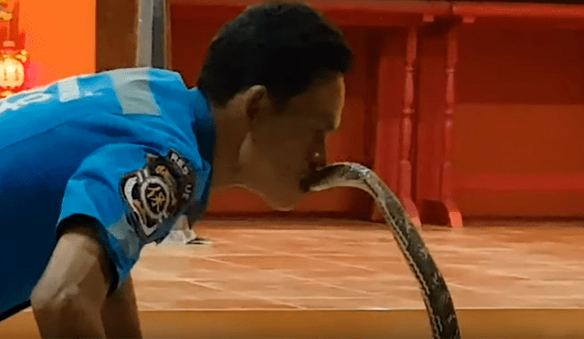 Un video viral de Facebook registró el aterrador momento en que un chico besó a una venenosa cobra real, sin imaginar las terribles consecuencias de sus actos.