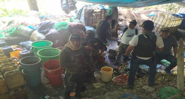 Destruyen poza de maceración de hojas de coca en Puno