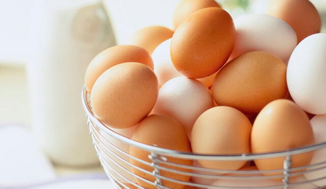 Aprueban requisitos sanitarios para importación de huevos de Brasil