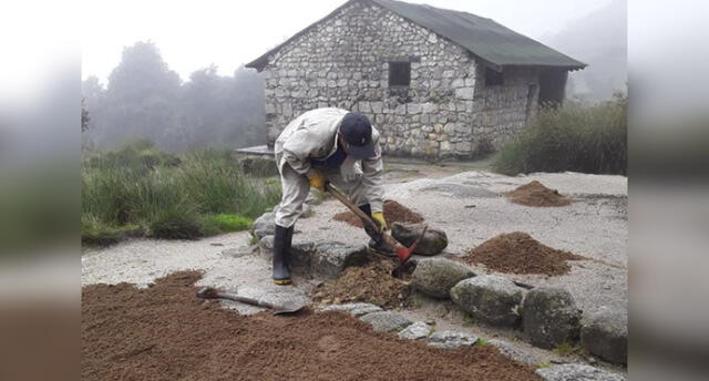 Intensifican trabajos de conservación en la red de Caminos Inca