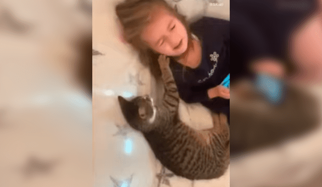 Video es viral en Facebook. El felino no soportó que su pequeña dueña lo ignore por revisar su celular y buscó llamar su atención con gracioso comportamiento