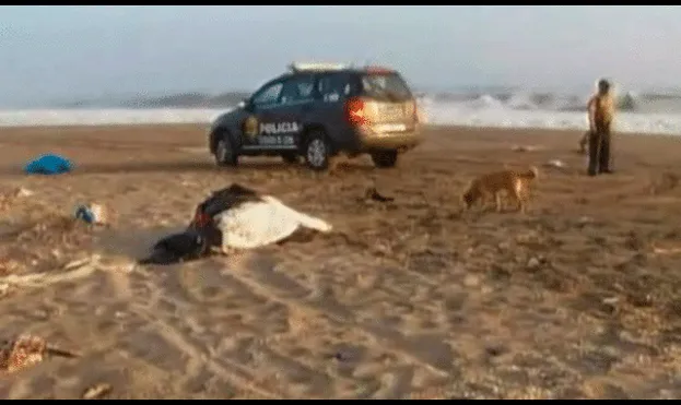Hallan cadáver de una mujer en playa de Lurín [VIDEO]