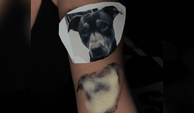 Desliza hacia la izquierda para ver el tatuaje que se hizo un joven con el rostro de su perro que se volvió viral en YouTube.