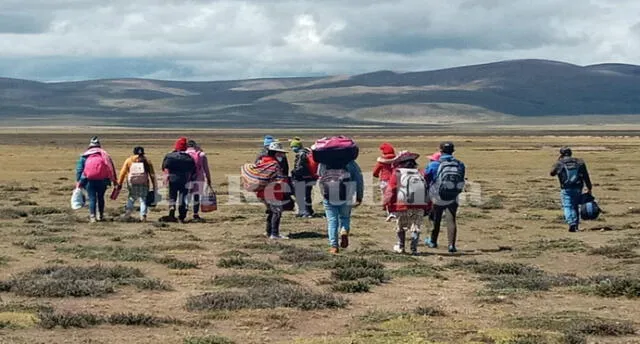 Junto a sus padres, los pequeños viajan a pie desde Arequipa hacia regiones del sur.