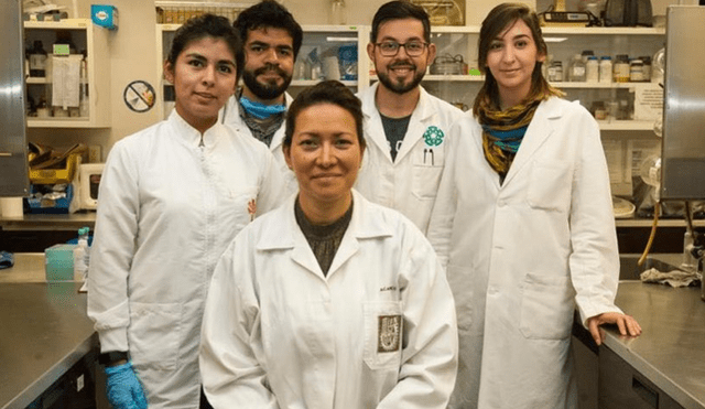 México: Investigadores logran eliminar el Virus del Papiloma Humano en 29 pacientes