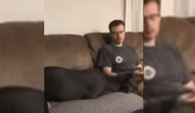 Video es viral en TikTok. Hombre se negó a darle un poco de su comida al can y este hizo de todo para hacer que este le invite.