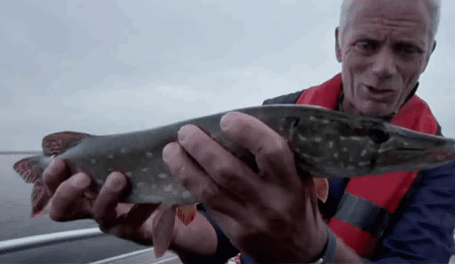 Un pescador profesional acudió a Chernobyl para inspeccionar un lago y encontró un desconcertante animal.