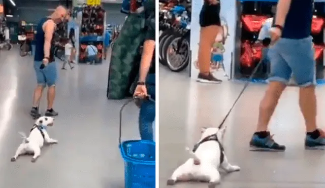 Vía Facebook. El dueño del can optó por una singular medida para transportar a su mascota dentro de un centro comercial