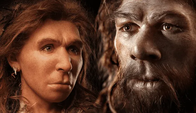 Según un estudio, la población de neandertales habría comenzado a reducirse hasta desaparecer luego de que se cruzaran con los Homo Sapiens, hace aproximadamente 50.000 o 60.000 años. Foto: composición de Fabrizio Oviedo / S. Entressangle / E. Daynés / BBC