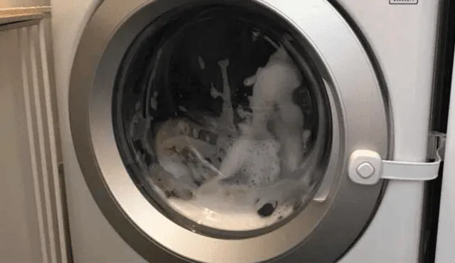 Facebook: menor de 3 años quedó atrapada dentro de una lavadora en funcionamiento [FOTO]