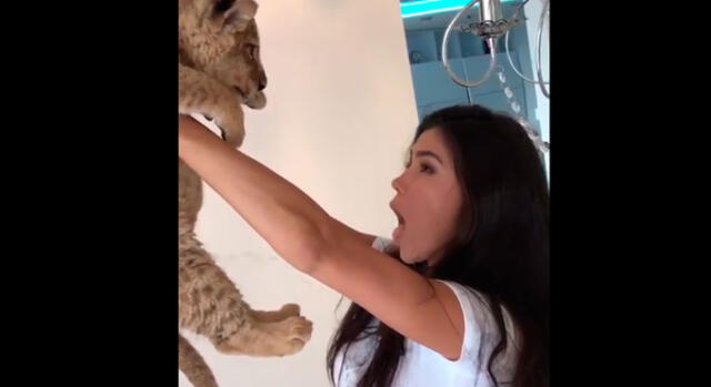 Instagram: modelo intentó recrear escena del 'Rey León', pero no salio como lo esperaba [VIDEO]
