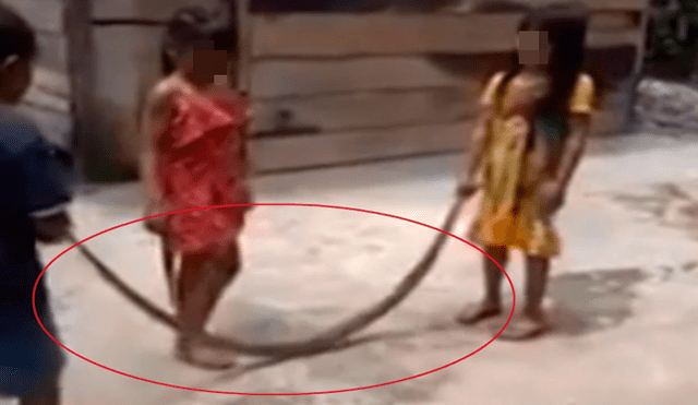 Niños juegan a la cuerda con serpiente muerta [VIDEO]