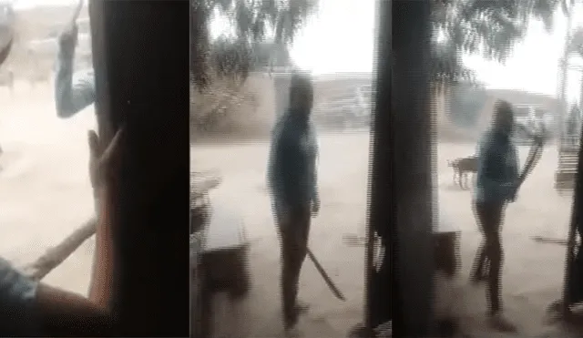 Puente Piedra: mujer amenaza con machete a sus vecinos por defender a sus perros [VIDEO] 