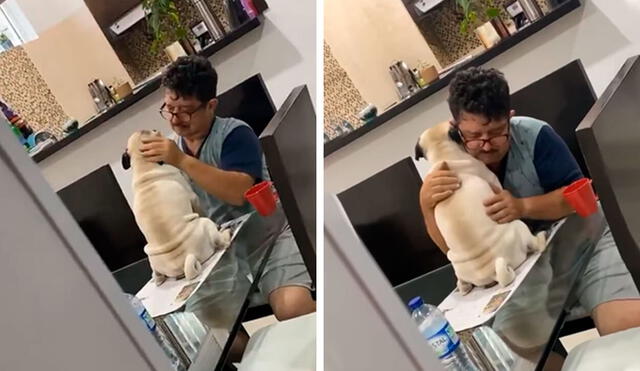 Desliza las imágenes para apreciar el amoroso momento entre un hombre con la mascota de su hijo. Foto: Captura de Facebook