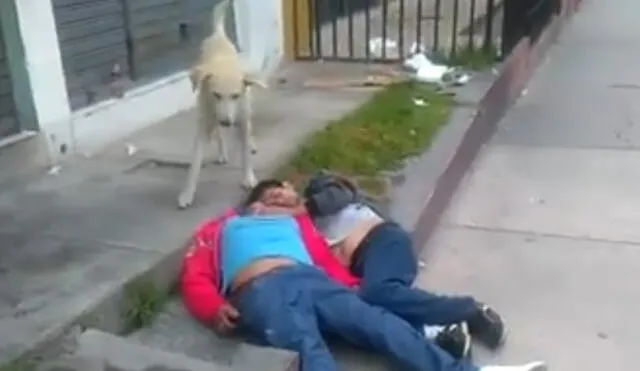 En Facebook, encuentran a dos hombres ebrios durmiendo en las calles de Arequipa | VIDEO