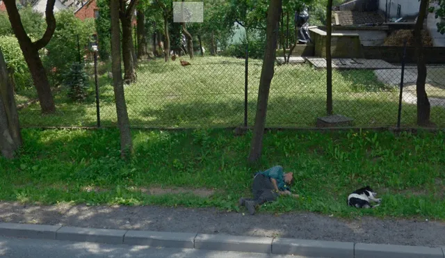 Google Maps: ebrio se queda dormido y su perro fiel tiene increíble reacción [FOTOS]