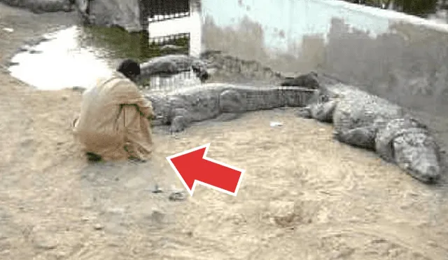 YouTube viral: se arma de valor e ingresa a un santuario de cocodrilos, sin imaginar lo que pasaría [VIDEO]