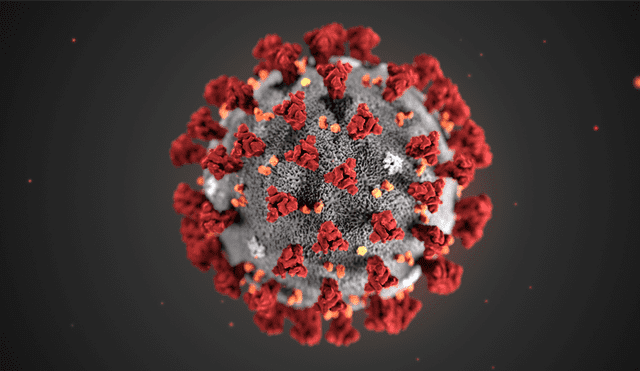 El coronavirus en una ilustración publicada por los Centros para el Control y la Prevención de Enfermedades (CDC) en Atlanta, Georgia. | Foto: MAM / CDC