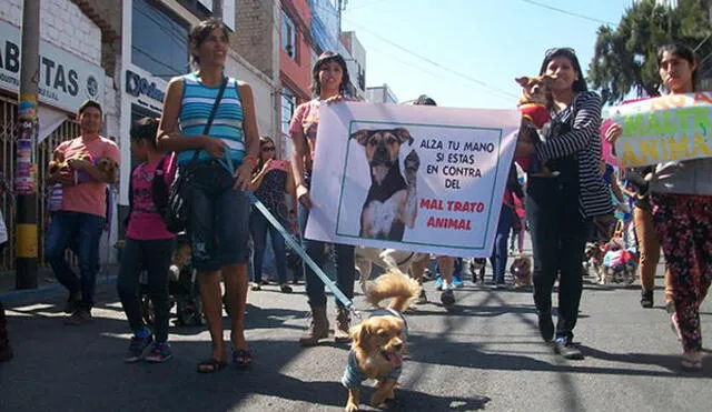 Animalistas de Tacna realizarán marcha para exigir justicia por muerte de dos perros a balazos 