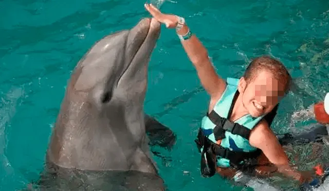 Niña sufre brutal ataque de delfines que se enfurecieron y la arrastraron bajo el agua [FOTOS]