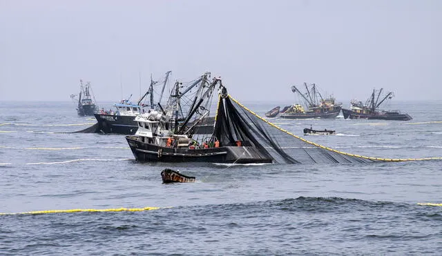 Desembarques pesqueros crecieron 94,1% durante el mes de julio por impulso de la anchoveta