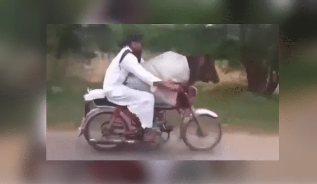 Facebook viral: Hombre saca a pasear a una vaca en su motocicleta y genera controversia [VIDEO]