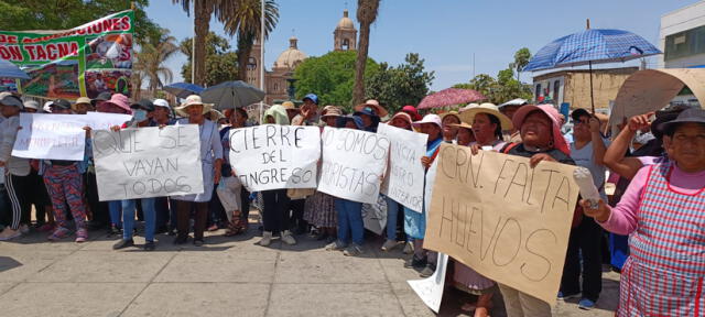 protesta. En Puno y Tacna se realizaron movilizaciones.