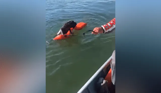 Hombre encuentra extraño ser ahogado en lago, arroja salvavidas y pasa lo inesperado [VIDEO]