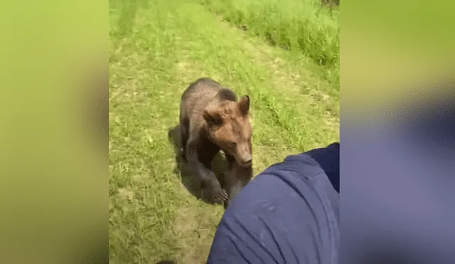 En las redes se hizo viral una escena en la que un oso persigue a un joven para arrebatarle su helado. Foto: YouTube