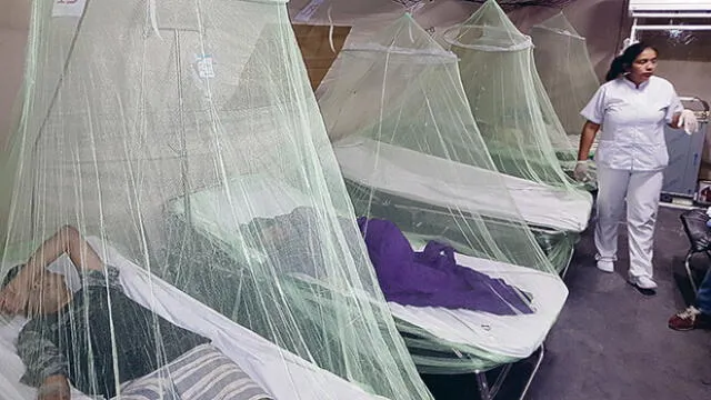 Se elevan a 16 las muertes por dengue en Piura