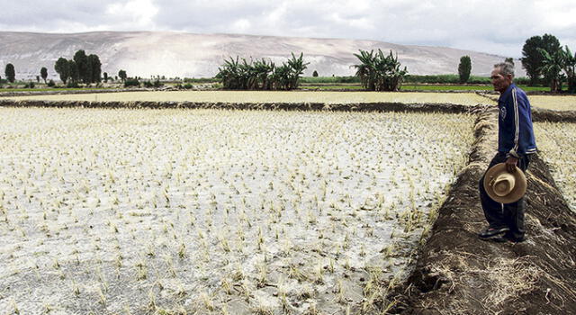 Arequipa: Southern plantea alternativas para paliar la falta de agua en Tambo