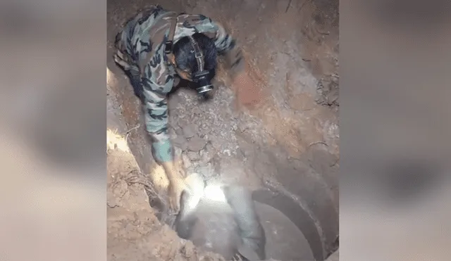 Un video viral muestra cómo un grupo de pobladores hacen hasta lo imposible para salvar la vida de un elefante bebé.