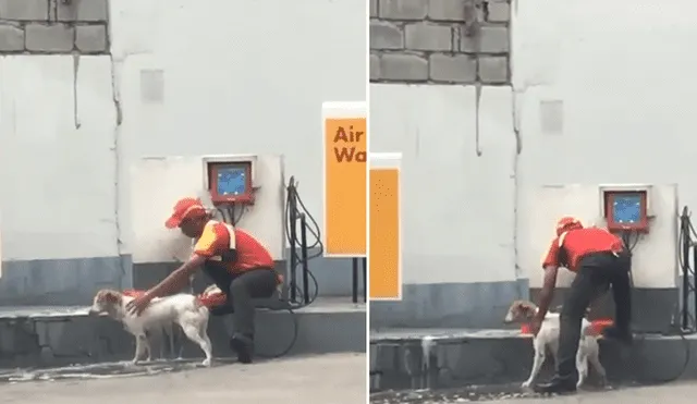 Un grifero se ganó la admiración de miles de usuarios de YouTube tras ser captado bañando a un perro callejero.