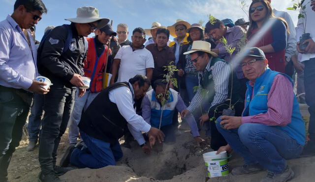 Pobladores participaron en campaña de forestación en Arequipa.