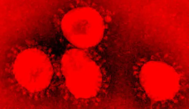 El SARS-CoV-2 es más contagioso y letal que la gripe. Imagen microscópica de un coronavirus.