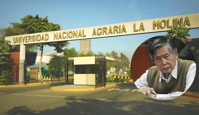 Procuraduría Anticorrupción: UNALM omitió información sobre pensión de Fujimori 