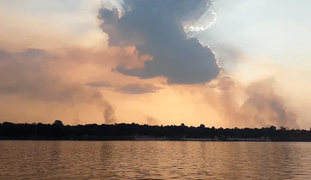 Incendio en la Amazonía: el fuego sigue destruyendo la selva de Brasil [EN VIVO]
