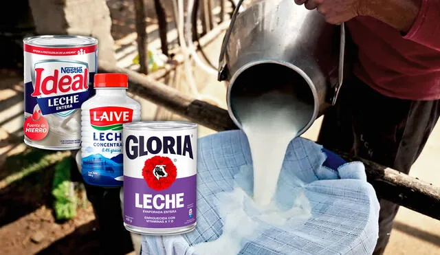 Según estudio de Indecopi, leche Gloria, Laive y Nestlé son las principales compradoras de leche fresca en el Perú y gozan de un “fuerte poder de negociación”. Foto: composición LR / captura de video de Agalep