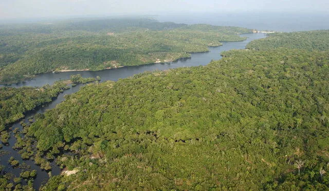 El mar inundó la Amazonía en la antigüedad dos veces, según estudio