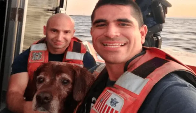 Rescatan a perro que naufragó en medio del océano y lo devuelven a su dueño [VIDEO]