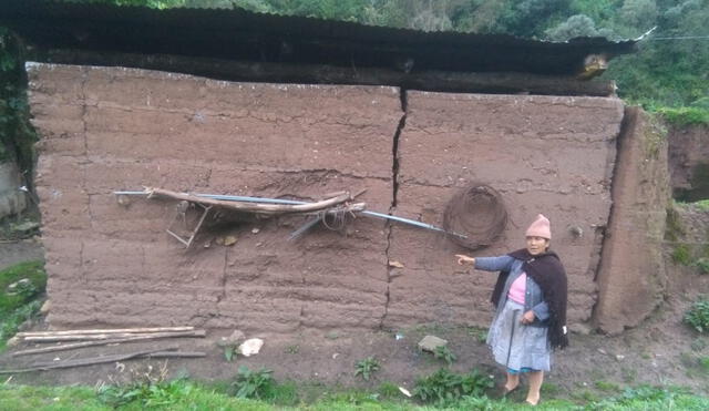 Pasco: Viviendas de material rústico presentan rajaduras tras sismo en Loreto