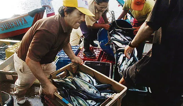 Pesca artesanal aporta el 22% del PBI pesquero y genera 93 mil empleos directos